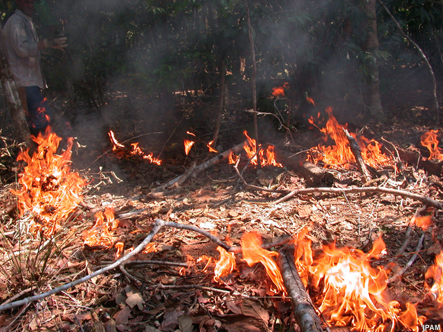 Fogo na floresta amazônica Fogo na floresta amazônica