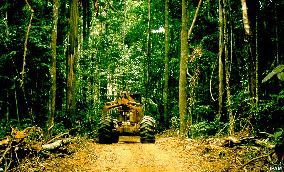 Equipamento madeireiro Equipamento madeireiro