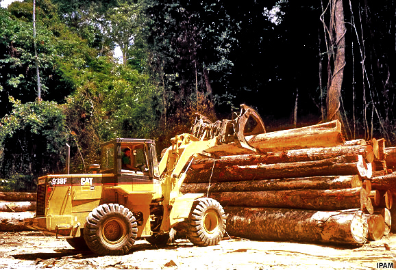 Equipamento madeireiro e toras empilhadas Equipamento madeireiro e toras empilhadas
