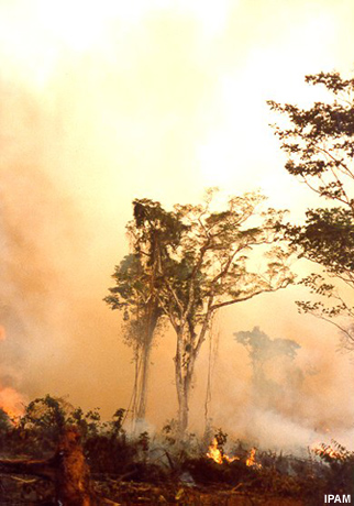 Fumaça na floresta amazônica Fumaça na floresta amazônica