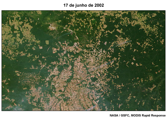 Imagem de satélite do desmatamento no Mato Grosso, 17 junho de 2002 Imagem de satélite do desmatamento no Mato Grosso, 17 junho de 2002