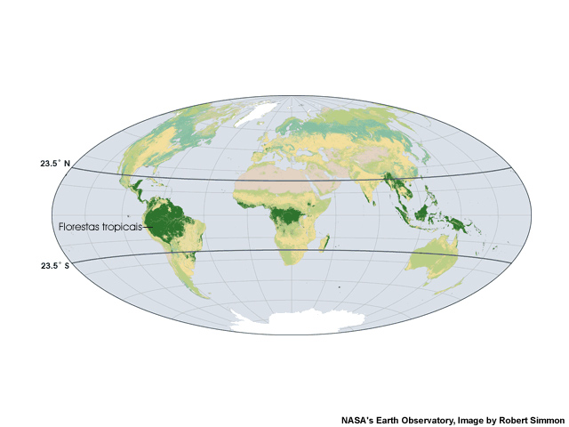 Mapa das florestas tropicais no mundo (verde escuro) Mapa das florestas tropicais no mundo (verde escuro)