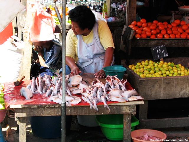Homem vendendo peixe em Iquitos, Peru Homem vendendo peixe em Iquitos, Peru