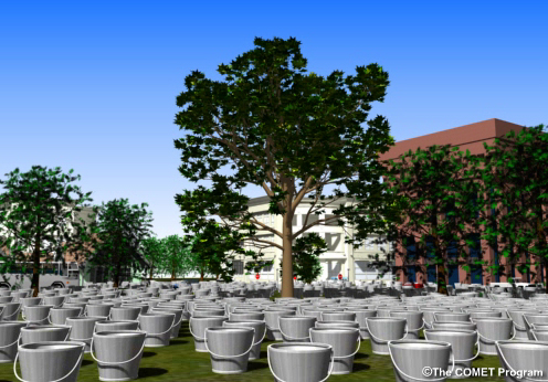 oak tree with buckets of water