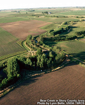 farm land