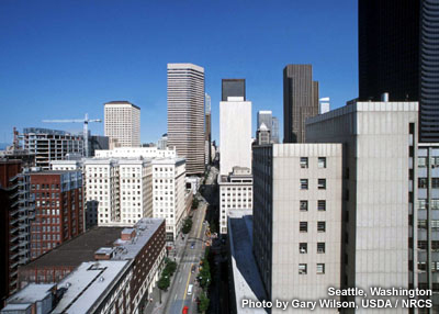 downtown seattle