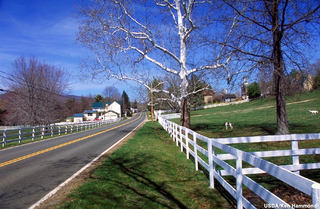 Rural road scene