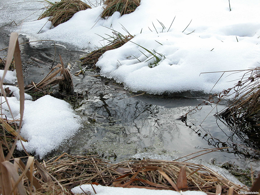 Snow melting.