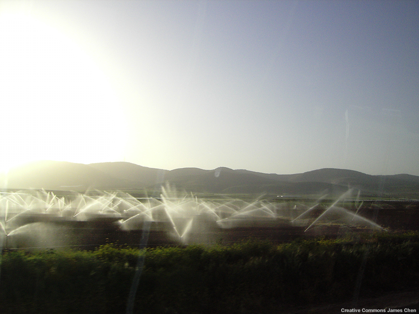 Irrigation at dawn