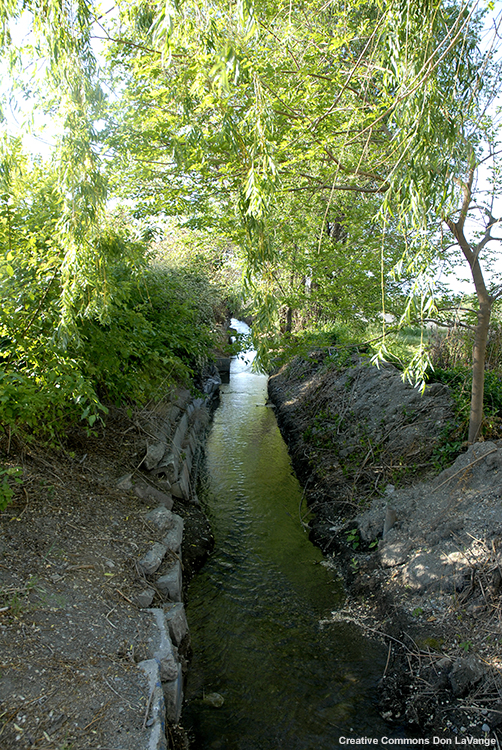 Irrigation ditch in Utah showing phreaophytes along the edges.
