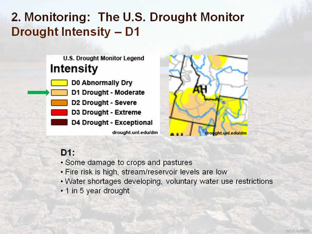 Intensity D1