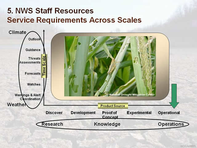 Service Requirements