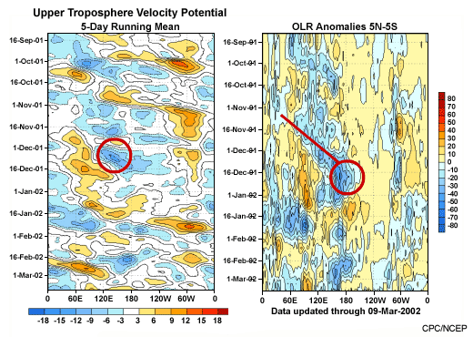 Velocity potential and OLR anomaly