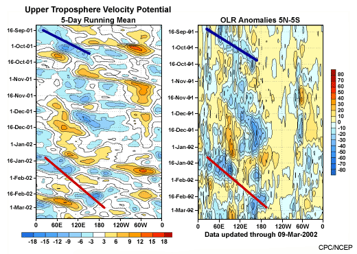 Velocity potential and OLR anomaly