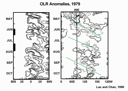 OLR Anomalies, 1979