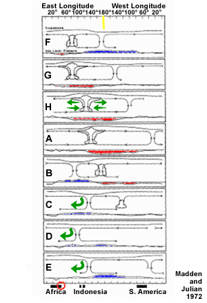 Cross-Sectional Depiction