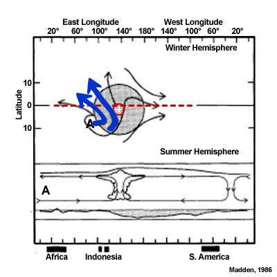 Circulation Cell Schematic Cross-Section and Plan View