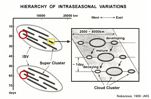 Hierarchy of intraseasonal variations (Nakazawa)