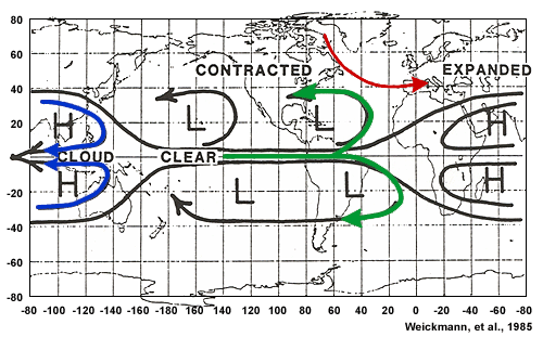 Schematic Summary of Data