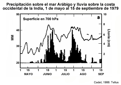 Precipitación sobre el mar Arábigo y lluvia sobre la costa occidental de la India