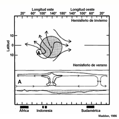 Vista en plano de célula de circulación