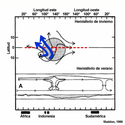 Vista en plano de célula de circulación