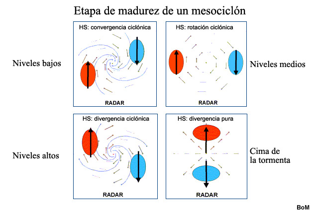 Etapa de madurez de un mesocicln