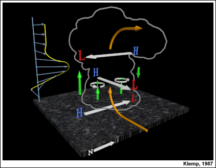 Diagrama esquemático tridimensional de los efectos de la presión dinámica en el interior de una tormenta supercelular con cizalladura que gira en sentido horario, por Klemp