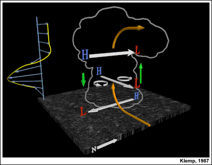 Diagrama esquemático tridimensional de los efectos de la presión dinámica en el interior de una tormenta supercelular con cizalladura que gira en sentido antihorario, por Klemp