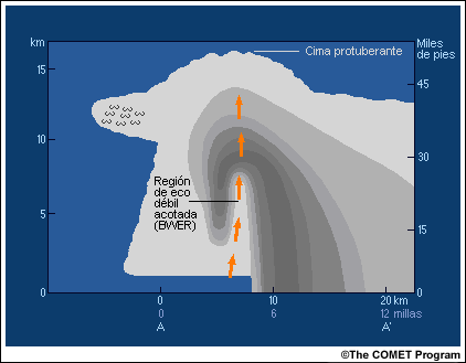 Representación idealizada del corte vertical de una tormenta supercelular que muestra la reflectividad radar y la posición de la corriente ascendente, la región de eco débil acotada (BWER) y la cima penetrante
