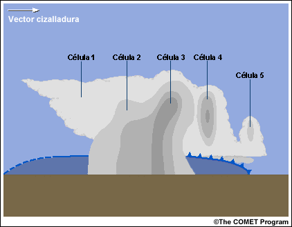 Corte vertical de un sistema multicelular que muestra la silueta de una nube con valores de reflectividad teóricos e identificación de las células