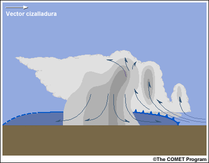 Corte vertical de un sistema de tormenta multicelular con la estructura teórica de las corrientes ascendente y descendente