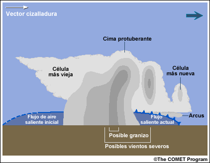 Corte vertical de un sistema de tormenta multicelular en el cual se identifican las estructuras meteorológicas