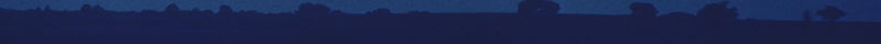 footer