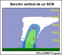 Sección vertical de un SCM de tipo 1