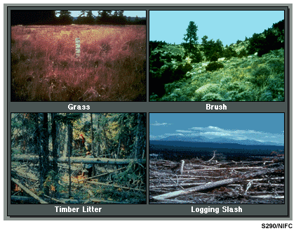 This image shows different kinds of fuels.