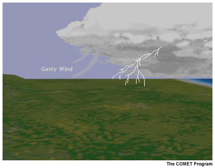 This image shows gusty winds flowing out of a thunderstorm along with a lightning strike.