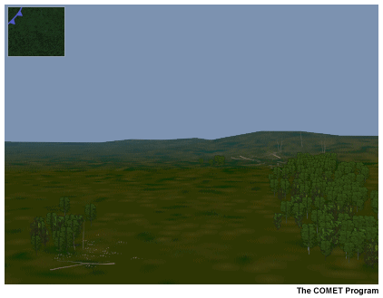 This image depicts grasslands at the edge of a forest as a cold front approaches.