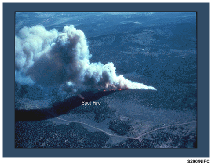 This image shows a fire spotting.