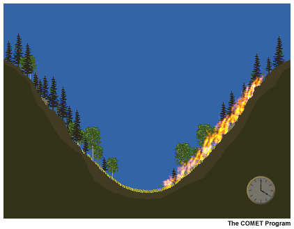 This image shows a fire burning on a slope.