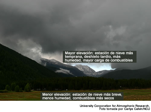Foto de cotas diferentes