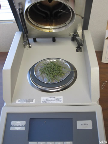 Horno de convección empleado para secar los combustibles vivos.