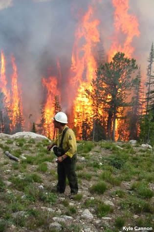 Fuego de copas que arde en la cresta de una colina.