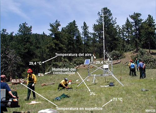 Foto que ilustra la diferencia en la temperatura y la humedad de los combustibles en zonas expuestas al sol y a la sombra.