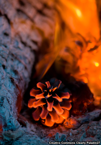 Foto de una piña que arde.