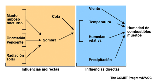 Representación esquemática de influencias directas e indirectas en la humedad de los combustibles