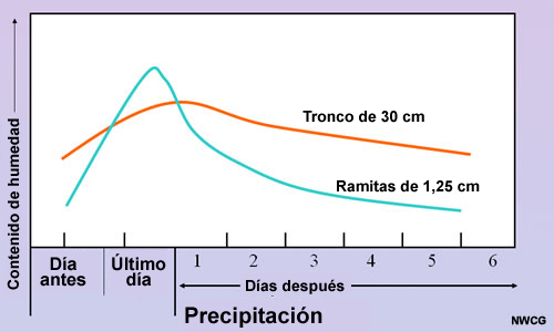 Gráfica del tiempo de reacción para combustibles de diferentes tamaños