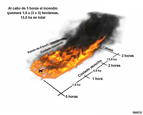 Crecimiento en área