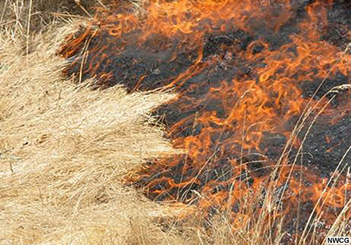 Ejemplo de fuego de cola