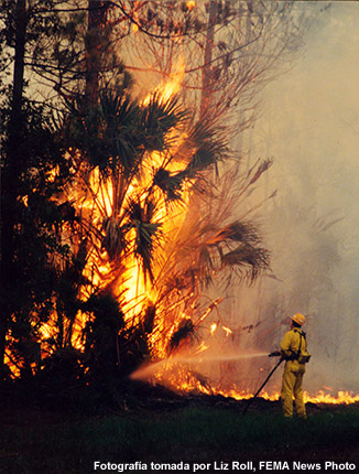 Incendio forestal cerca de Bunnell, Florida (EE. UU.)